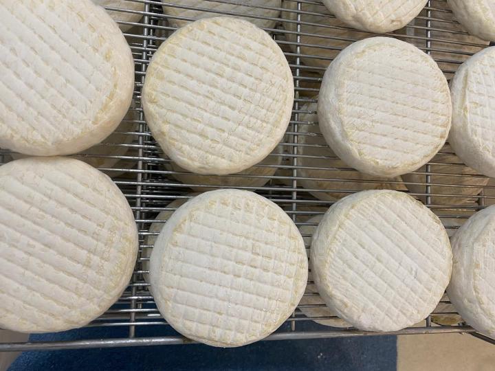 Affinage de fromage Haguenau