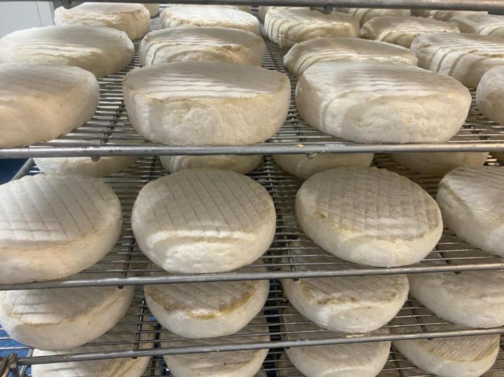 Affinage de fromage Haguenau