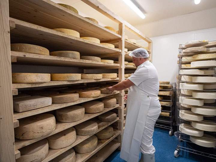 Affineur de fromage à Haguenau